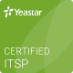 yeastar partner
